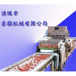 供應(yīng)胡蘿卜清洗機(jī)、白蘿卜清洗機(jī)