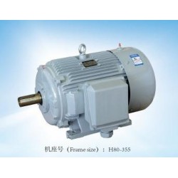 專業(yè)的閥門電機，哪里可以買到精湛的YE2系列三相異步電動機