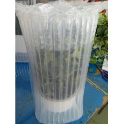 廣州小盆栽快遞充氣保護(hù)袋，緩沖氣袋