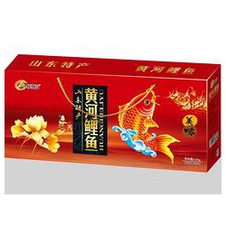 山東物超所值的黃河鯉魚禮盒【供應(yīng)】，聊城黃河鯉魚禮盒