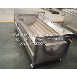 毛刷清洗機(jī)價位，濰坊哪里有賣質(zhì)量硬的毛棍清洗機(jī)