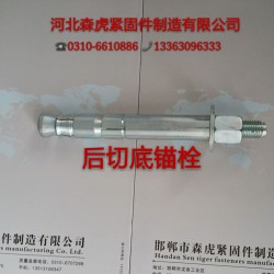 河北機(jī)械錨栓廠(chǎng)家特價(jià)批發(fā)銷(xiāo)售M20自切底機(jī)械錨栓現(xiàn)貨供應(yīng)