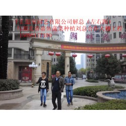 濰坊哪里有提供蔬菜大棚建造，蔬菜大棚
