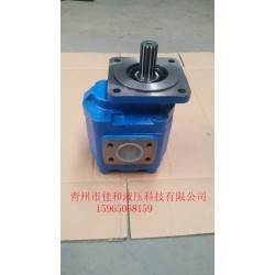 龍工裝載機(jī)工作泵廠家供應(yīng)/*CBAK3112廠家供應(yīng)//*柳工裝載機(jī)液壓泵價格/批發(fā)-廠家