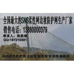 遂寧被動網(wǎng)，新款被動防護網(wǎng)成都有售