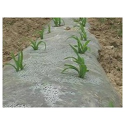 具有口碑的玉米地膜提供商，當(dāng)屬南寧市晟和興塑膠，貴州哪里有農(nóng)用地膜