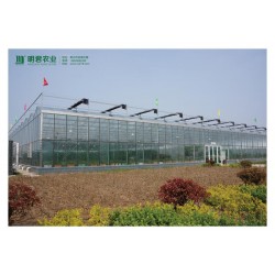 智能溫室大棚建設——專業(yè)的溫室大棚推*