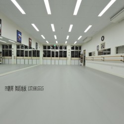 PVC舞蹈專用地膠，PVC專業(yè)舞蹈地膠