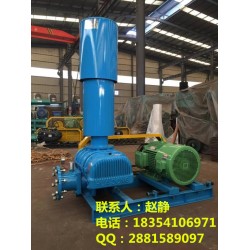 【 污水曝氣風(fēng)機(jī)、污水曝氣鼓風(fēng)機(jī)選型、北京曝氣鼓風(fēng)機(jī)廠家】