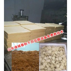 哪里有切絲不斷的千頁豆腐切絲機(jī)，一次成型千頁豆腐切絲機(jī)
