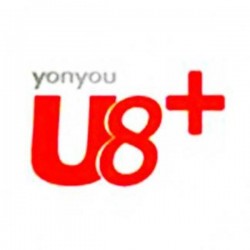 用友u8+成長型企業(yè)互聯(lián)網(wǎng)應用平臺架構(gòu)