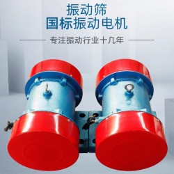 銅線(xiàn)振動(dòng)篩振動(dòng)電機(jī)
