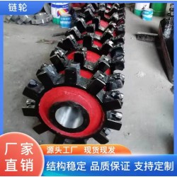 焊接穩(wěn)固 按需定制 精鑄鋼提升機上下鏈輪